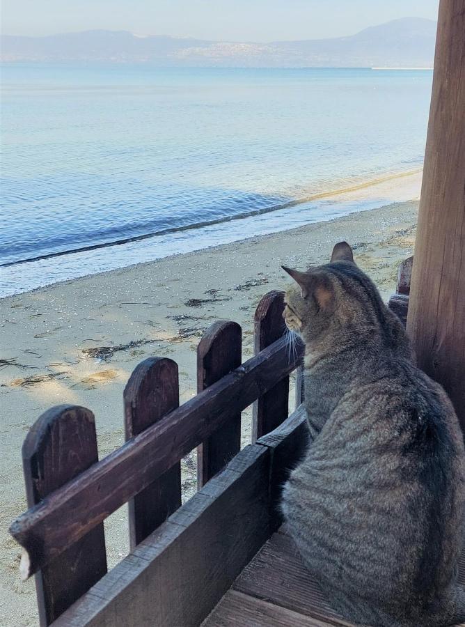 Niko'S Apartment - Beautiful Sea View Apartment ! Peraia  ภายนอก รูปภาพ
